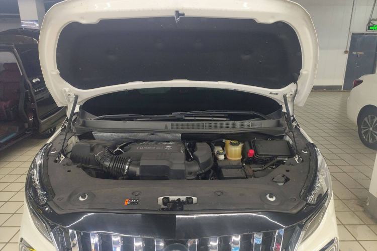 Used Buick GL8 2021 ES Landtrek 653T Comfort Edition
