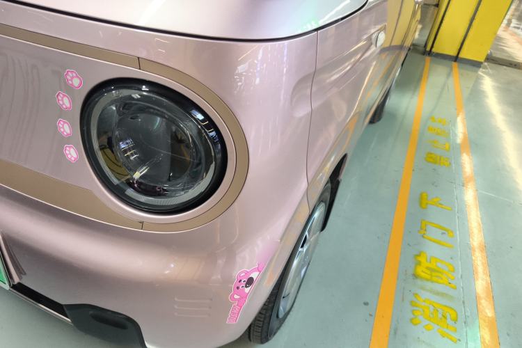 Used  Panda 2024 Panda Mini 200km Endurance Bear