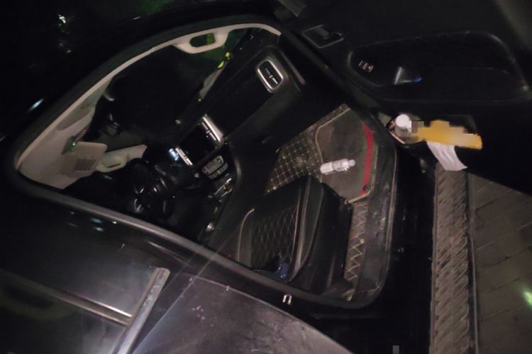 Used Great Wall Poer 2019 2.0T Automatic Gasoline Two-Wheel Drive Comfort Edition GW4C20B
