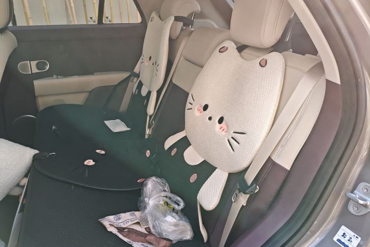 Used  firefly 2025 Illuminated Edition