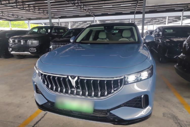 Used VOYAH FREE 2021 Four-Wheel Drive Standard Range-Extended Exclusive Luxury Package
