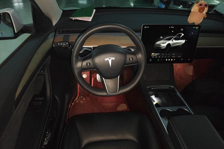 Used Tesla Model Y 2022 Performance High-Performance All-Wheel-Drive Version
