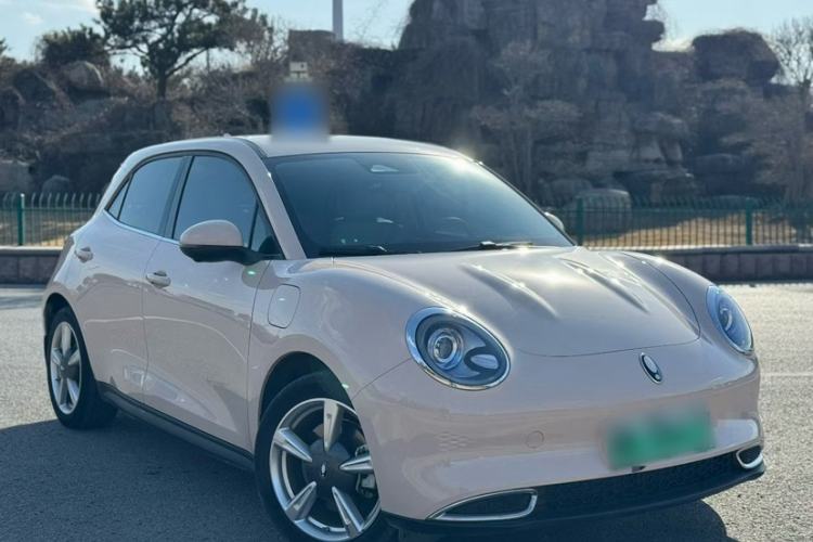 Used ORA Good Cat 2023 401 km Standard Range Luxury Version Lithium Iron Phosphate
