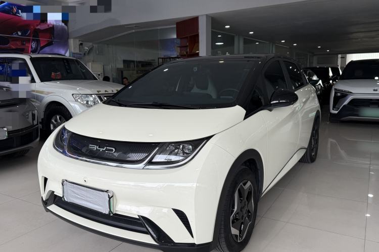 Used BYD Dolphin 2021 405 km Free Version