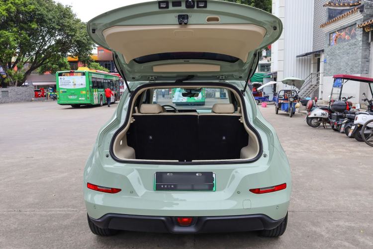 Used ORA Good Cat 2023 401 km Standard Range Luxury Version Lithium Iron Phosphate
