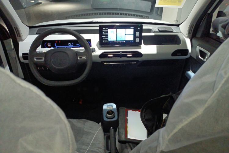 Used  Panda 2024 Panda Mini 200km Endurance Bear
