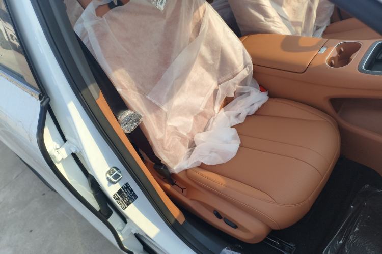 Used Hima H5 2025 Model Pure Electric Max