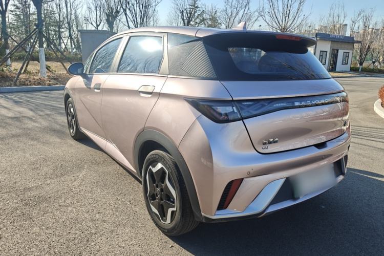 Used BYD Dolphin 2021 405 km Free Version
