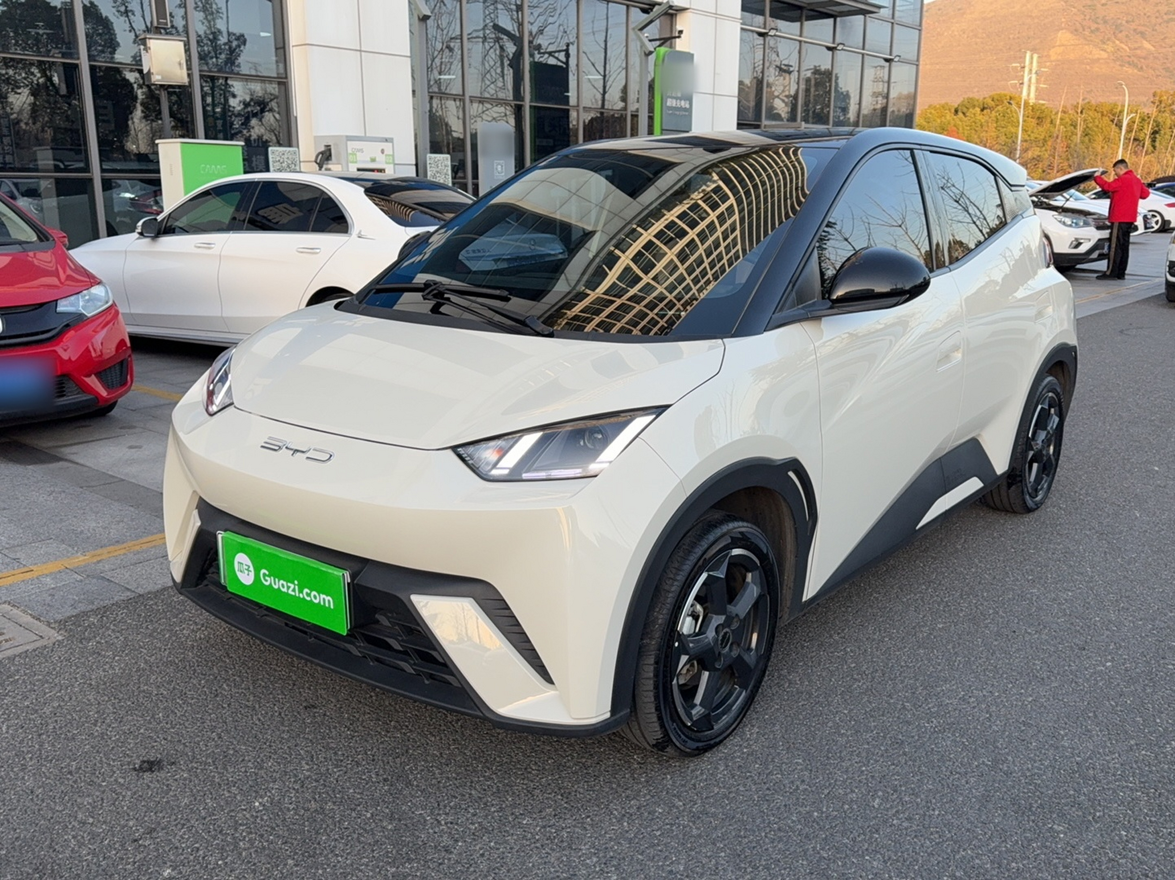 تحت مقدمة السيارة