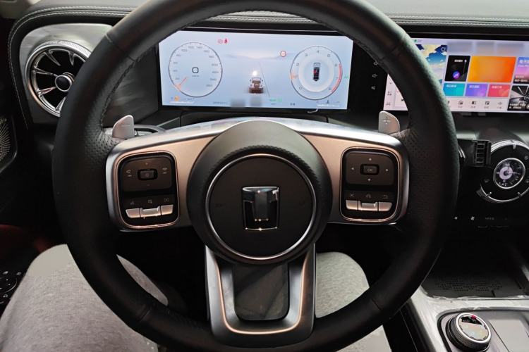 Used Tank 300 2024 2.0T Crosser
