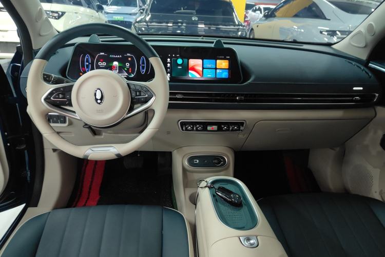 Used ORA Good Cat 2023 401 km Standard Range Luxury Version Lithium Iron Phosphate
