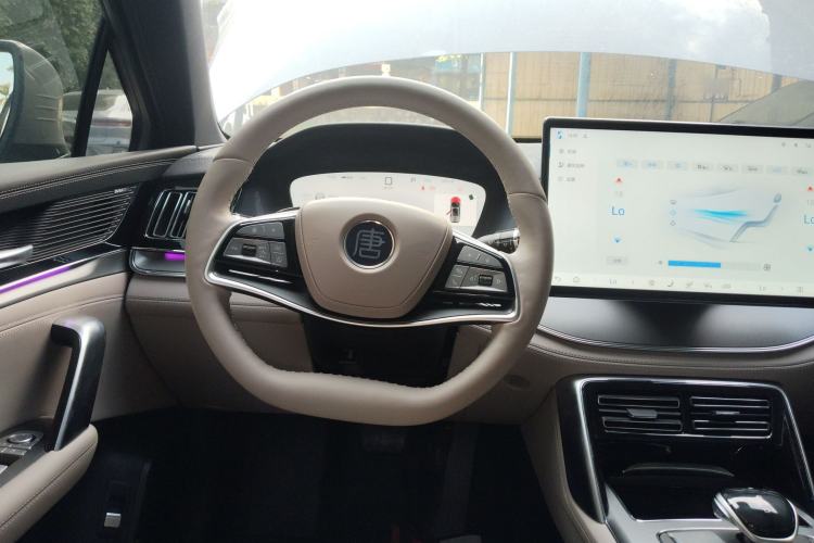 Used BYD Tang New Energy 2025 DM-i 115KM Prestige Model
