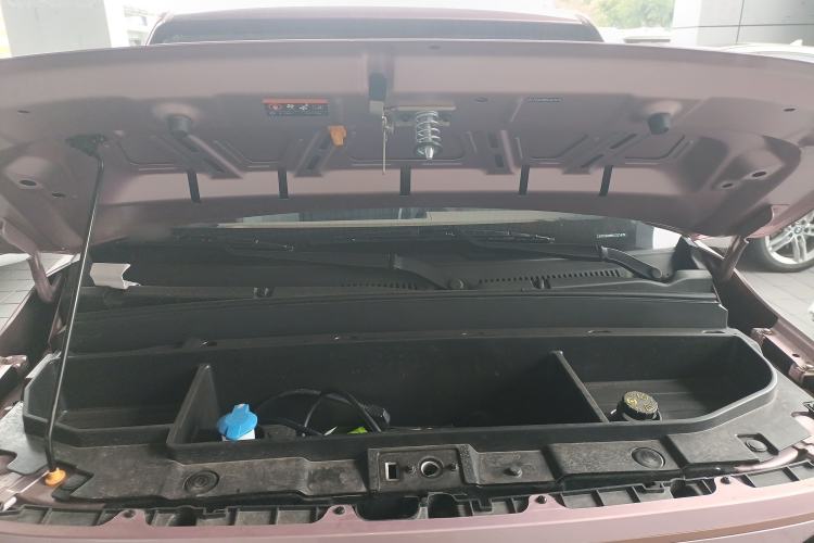 Used  Panda 2024 Panda Mini 200km Endurance Bear
