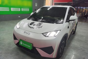 Used BYD Seagull 2025 Smart Drive Version 305 km Freedom Edition