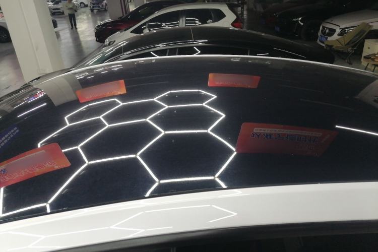 Used Tesla Model Y 2021 Standard Range Rear-Wheel Drive Version
