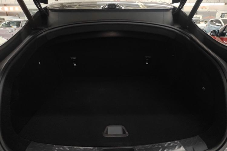 Used  06 2025 Max Extended-Range Edition