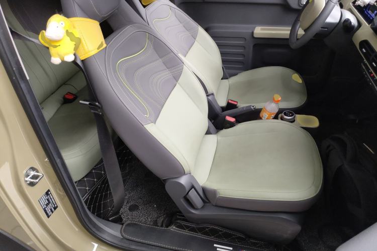 Used  Panda 2024 200km Panda Rider