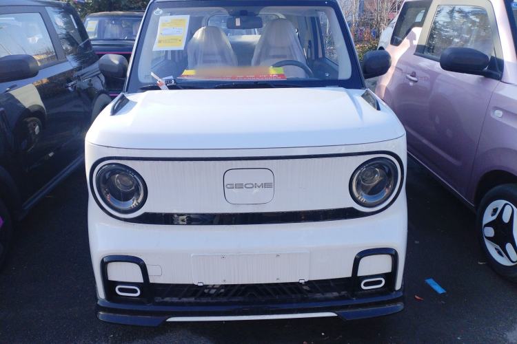 Used  Panda 2025 210km Panda Kart