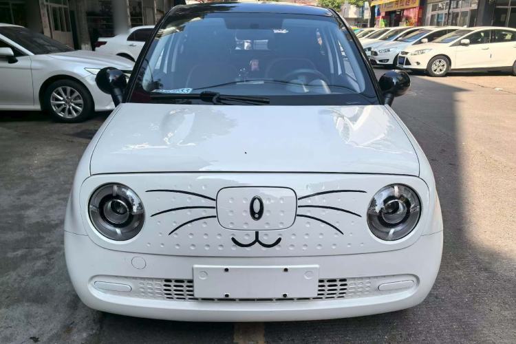 Used ORA Black Cat 2022 Updated Version 301 km Cute Pet Edition Lithium Iron Phosphate
