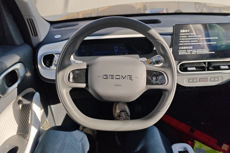 Used  Panda 2025 210 km – Yuanqi Bear