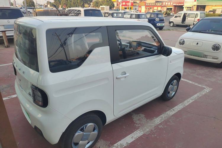 Used  Panda 2024 Panda Mini 200km Endurance Bear
