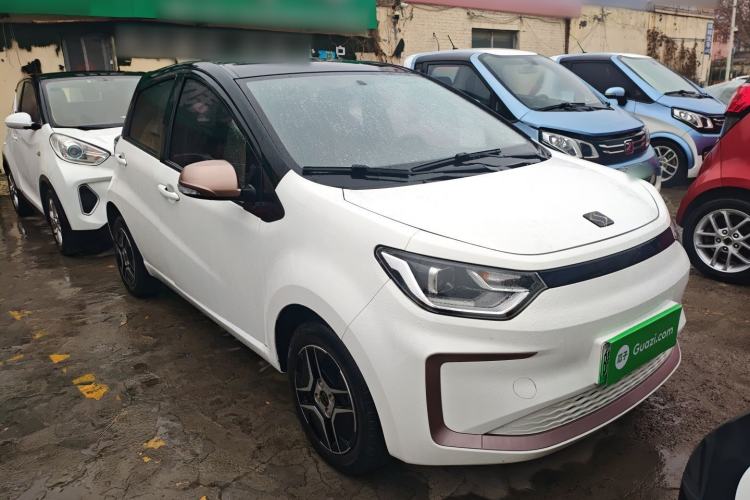 Used SOL E10X 2022 Flower Fairy Design Four-Leaf Clover
