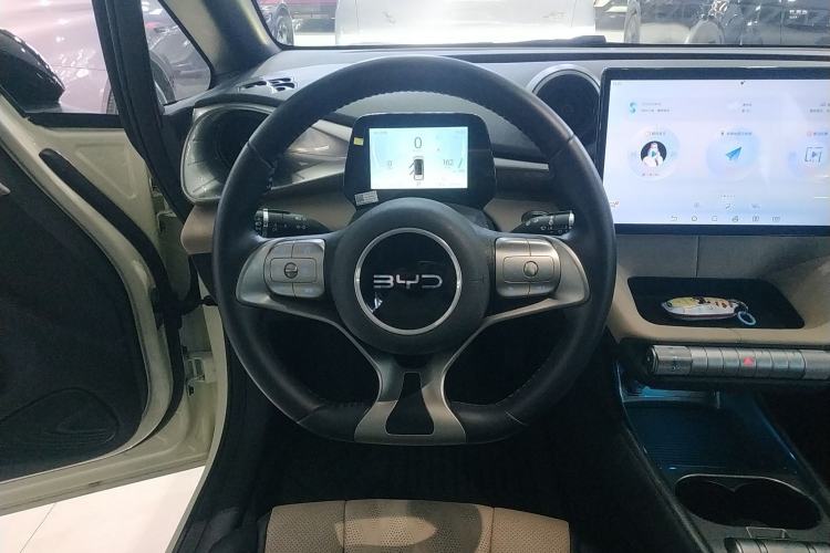 Used BYD Dolphin 2024 Honor Edition 420km Freedom Version
