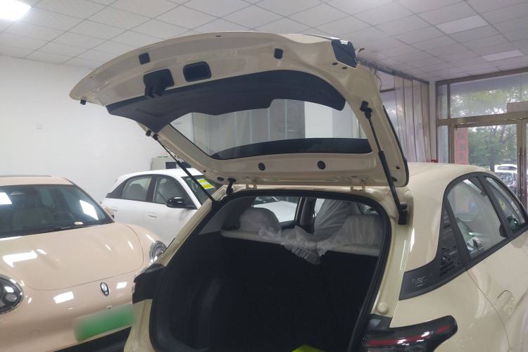 Used  Geome 2025 310km Youth Edition
