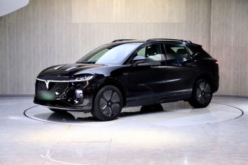 Used VOYAH COURAGE 2024 Four-Wheel Drive Global Edition