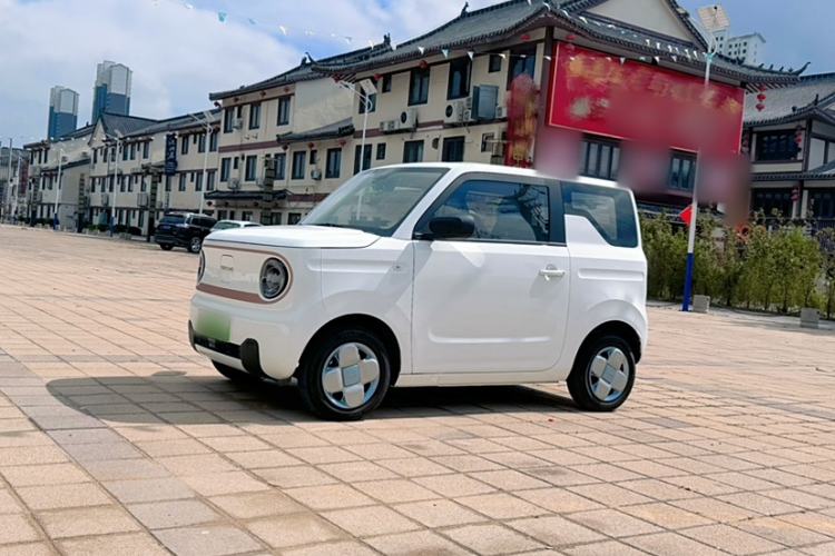 Used  Panda 2024 Panda Mini 200km Endurance Bear
