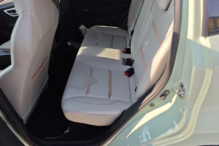 Used SOL E10X 2022 Flower Fairy Design Four-Leaf Clover