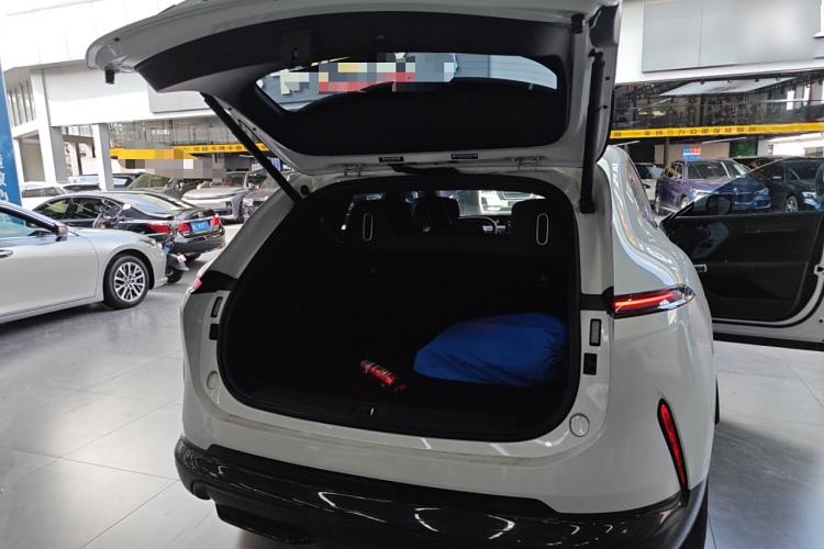 Used  07 2024 Max Extended-Range Edition
