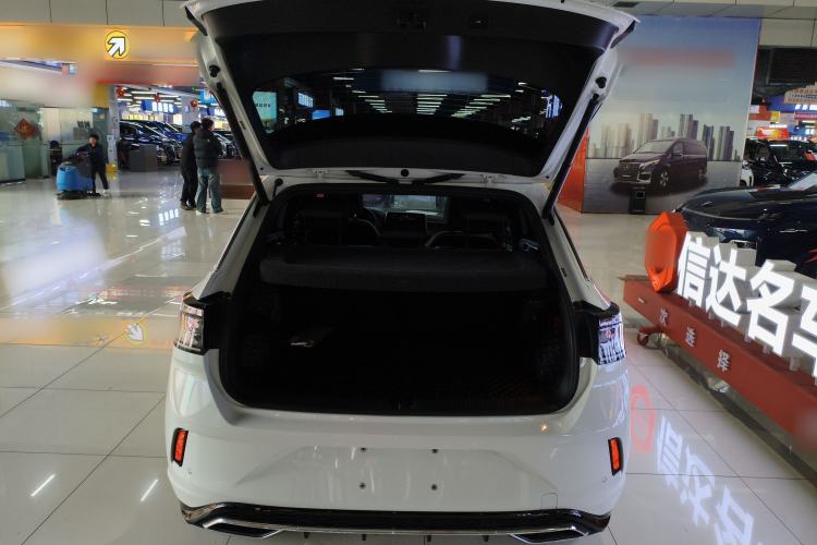 Used Volkswagen T-ROC 2023 300TSI DSG Two-Wheel-Drive Chen Guang Edition
