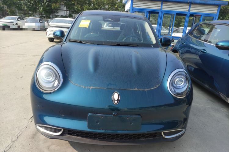 Used ORA Good Cat 2024 401 km Luxury Version
