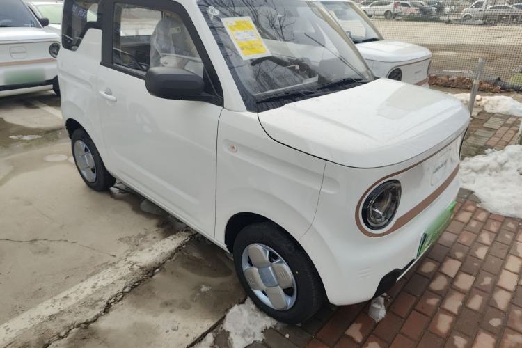 Used  Panda 2024 Panda Mini 200km Endurance Bear
