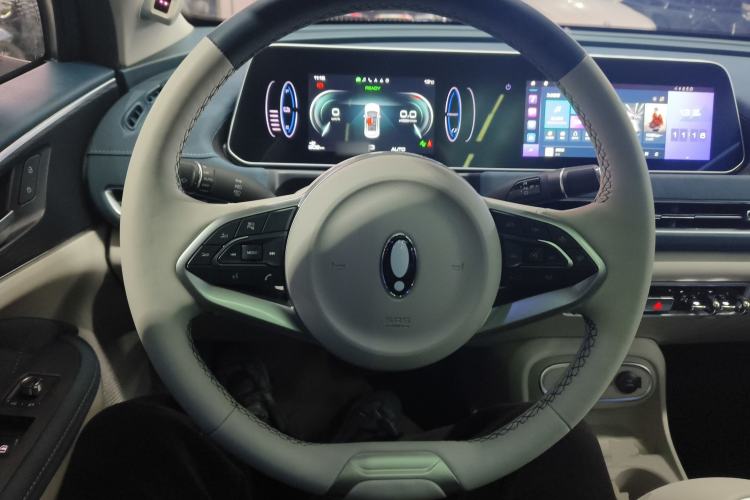 Used ORA Good Cat 2023 401 km Standard Range Luxury Version Lithium Iron Phosphate