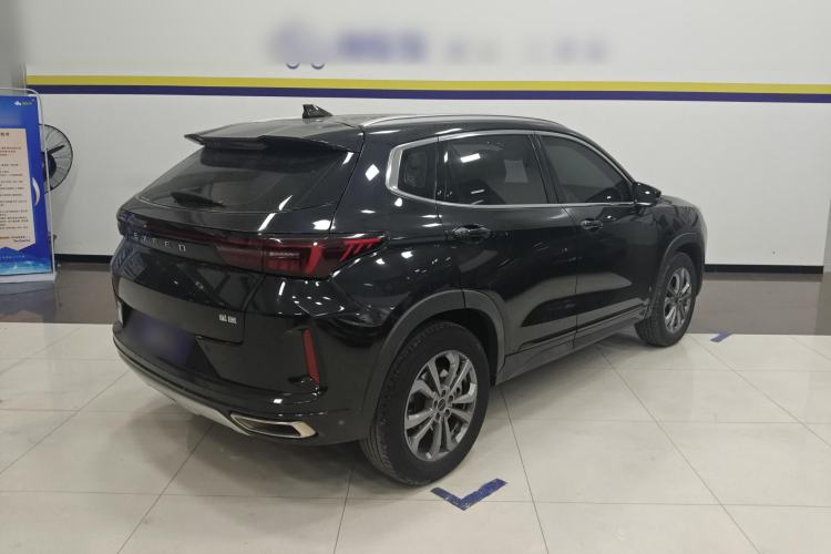 Used  Zhuifeng 2020 Chasing the Waves Edition 1.5T CVT Xingrui Version
