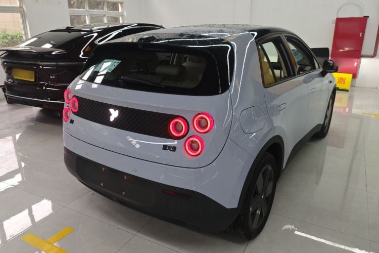 Used firefly firefly 2025 Illuminated Edition