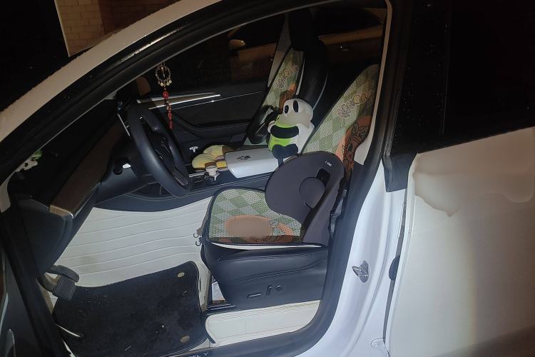 Used Tesla Model Y 2021 Standard Range Rear-Wheel Drive Version
