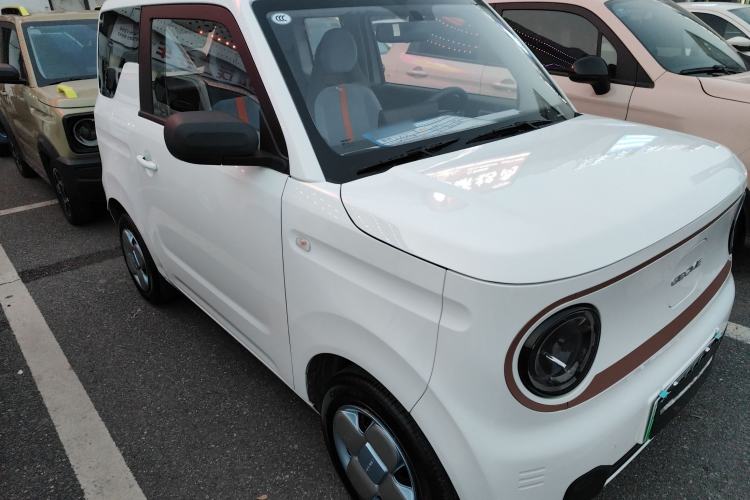 Used  Panda 2024 Panda Mini 200km Endurance Bear
