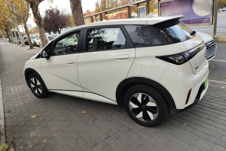 Used BYD Dolphin 2025 420km Free Edition
