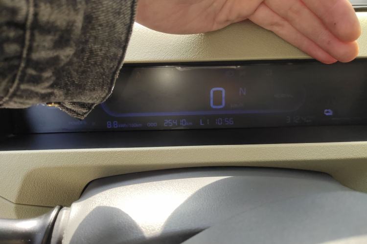 Used  Panda 2024 200km Panda Rider