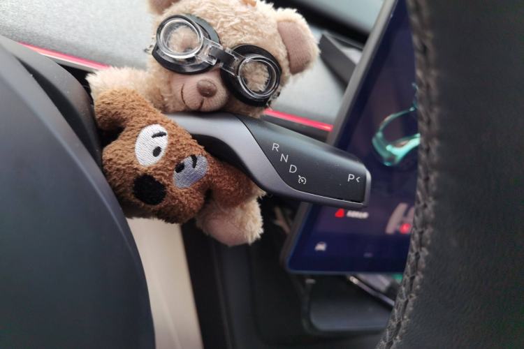 Used Tesla Model Y 2023 Rear-Wheel-Drive Version
