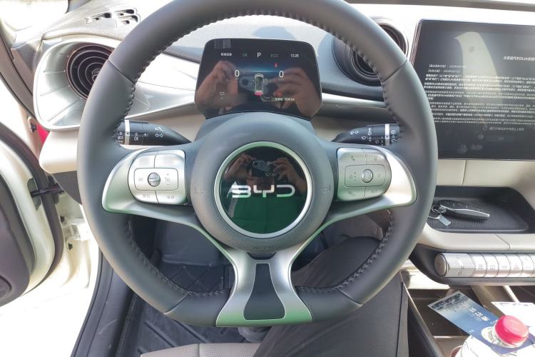 Used BYD Dolphin 2025 420km Free Edition
