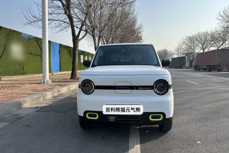 Used  Panda 2025 210 km – Yuanqi Bear