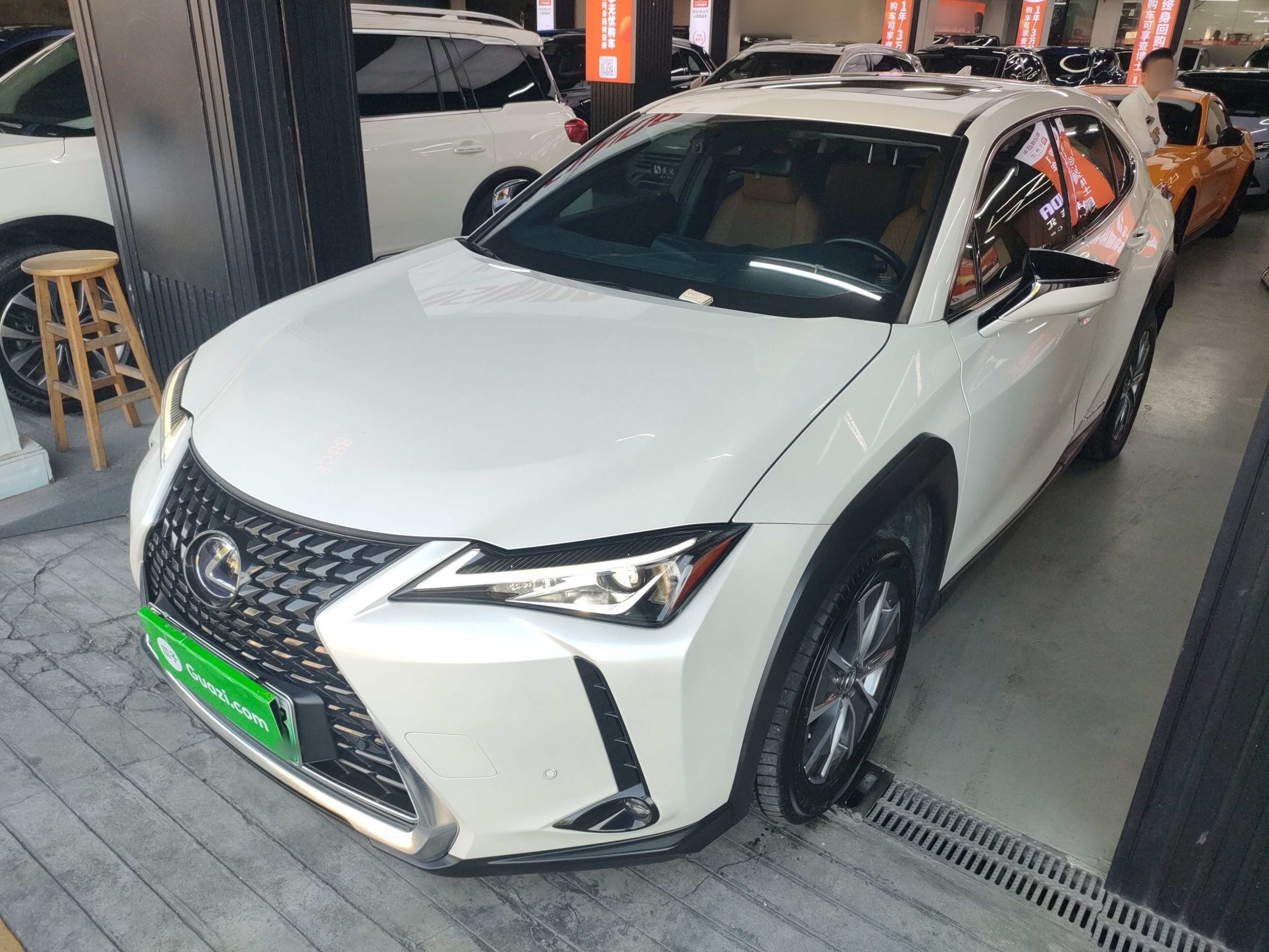 تحت مقدمة السيارة