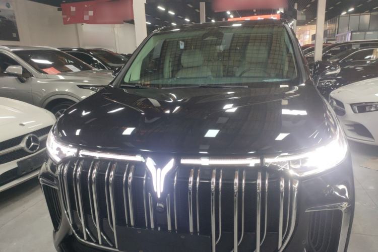 Used VOYAH Dream 2024 PHEV Extended-Range Premium Edition
