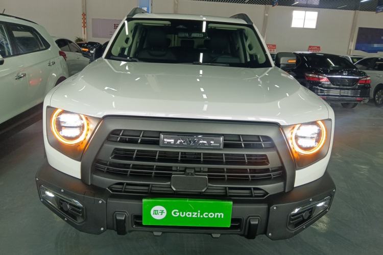 Used Haval DARGO 2024 2.0T DCT Chinese Rural Dog Edition

