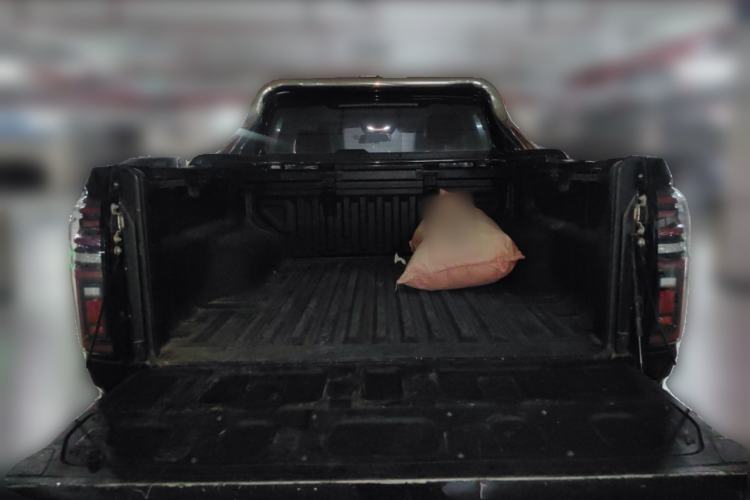 Used Great Wall Poer 2019 2.0T Automatic Gasoline Two-Wheel Drive Comfort Edition GW4C20B