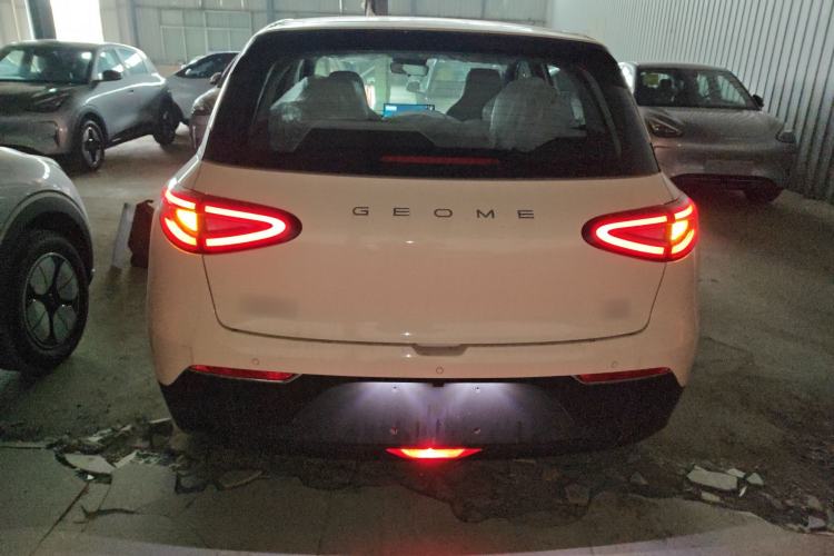 Used  Geome 2026 Model 310km Dream Edition